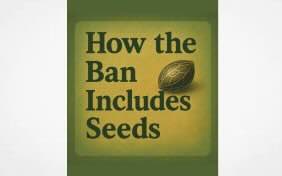 Steve De'Angelo - One Plant Alliance...."There’s been some confusion about what the new federal hemp law means for seeds'