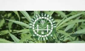 Bristol-based group pushes for Avon and Somerset Police to reform policing practices when dealing with people who use cannabis for medicinal purposes.
