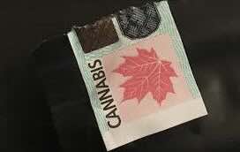 Canada has collected over $5.4B in cannabis tax revenue since legalization