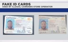 Article - Specrum News- Stolen identities, shell companies: How illegal cannabis dispensaries thrive in SoCal