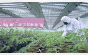 Paper: Occupational hypersensitivity to cannabis