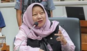 Indonesian Politician Hj. Siti Aisyah, S.H moots regulated  medical cannabis production in Aceh