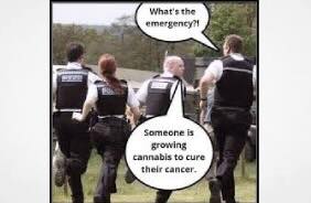 UK: Research Says 88% of Coppers Clueless About Cannabis
