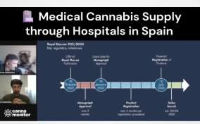 Arnau Valdovinos Founder Cannamonitor breaks down New Spanish Medical Cannabis Rules In Linked In Post, "Model Risks Collapsing Under Its Own Weight"