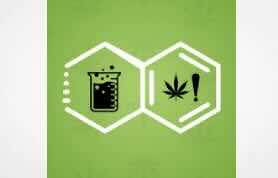 Paper: Semisynthetic Cannabinoids Detected in Cannabis-Derived Products in Poland: Statistical Overview, Analytical Challenges, and Legal Interpretative Considerations