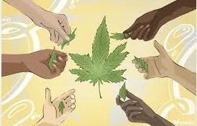 Paper: Cannabis social equity initiatives among US states with legal non-medical cannabis retail: A review and recommendations