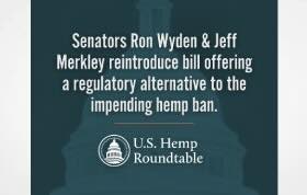 BREAKING: New Senate Bill to Keep Hemp Legal & Regulated