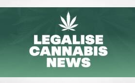 Legalize Cannabis Party - December 2025 - Newsletter & Updates