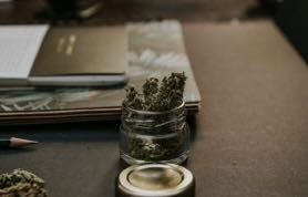 Top 10 Legal Markets for Sour Diesel Distribution in 2025