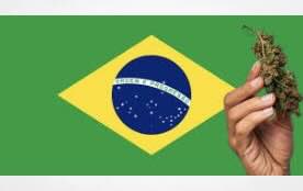 Paper: ANALYSIS OF THE TREATMENT GIVEN TO DRUG USERS BY THE BRAZILIAN CRIMINAL LAW: REFLECTION ON THE RECENT STF RULING IN RELATION TO THE SMALL POSSESSION OF MARIJUANA.