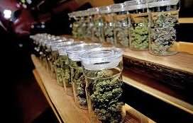 How to Find Legal Cannabis in Madrid Through Private Social Clubs