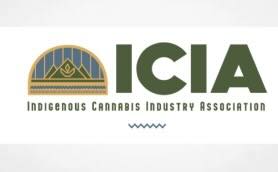 Looking Back at 2025 ICIA Newsletter December 2025