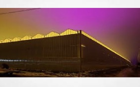 Humboldt County addresses cannabis light pollution concerns