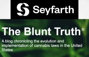The Year in Weed: 2025 Edition