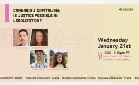 Chacruna - Webinar: Cannabis & Capitalism: Is Justice Possible in Legalization?