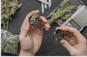 Weed Grinders and Dry Herb Vaporizers: The Perfect Pair for Smooth Sessions