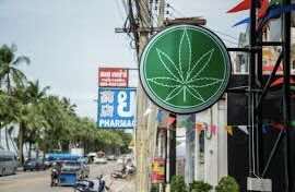 Election Coming In Thailand - Time For Cannabis Scare Stories