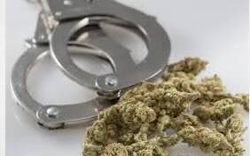 Article - The Guardian -  Trump’s cannabis order will still leave users at risk of prosecution, experts say, "Justice department is pushing to pursue simple possession cases, and ICE uses cannabis offenses to speed deportation"