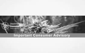 Notification of Voluntary Recall January 16, 2026 : Blazrade Integrated Vaporizer