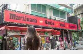 The Nation - Thailand: Over 7,000 cannabis shops close due to stricter regulations and new law