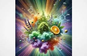 Gas vs. Candy: The Ultimate Flavor Guide to 2026 Cannabis