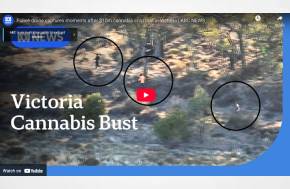 Australia: Police drone captures moments after $10m cannabis crop raid in Victoria | ABC NEWS