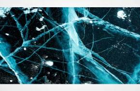 The Science Driving Policy: Endocannabinoid System Research