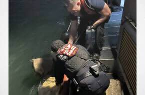 Coast Guard-Led Operation Nets $5 Million in Cocaine, Captures Stowaway in Puerto Rico