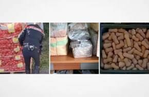 Hashish Seized Among Oranges and Potatoes on Spain-Italy Route