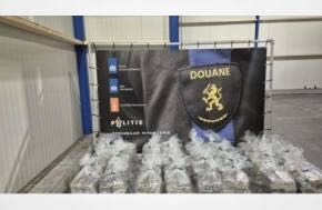 Dutch customs seize 400 kilos of cocaine hidden in bananas from Ecuador