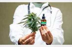Even With TGA Review On The Way Australian Cannabis Companies Willing To Pay Prescribing Doctors Up To $AUD350 An Hour