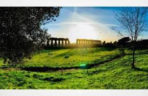 280 X180 white to post to websites – 2026-03-11T100408.284 copy