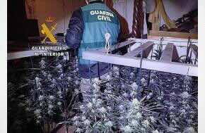Malaga - Spain: Two arrested and 20 kilos of cannabis seized during raid in Axarquía village