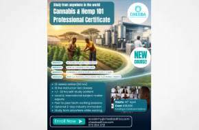 South Africa: New Cheeba Course - Cannabis & Hemp 101 - Professional Certificate