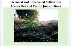 New Report: Berkeley CRC -"Licensed and Unlicensed Cultivation Across Ban and Permit Jurisdictions"