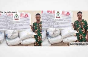 NDLEA Arrests Suspect With 71kg Skunk Smuggled From Benin Republic Through Oyan River