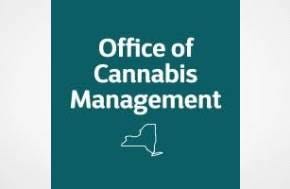 Associate Counsel - VID 212391 State of New York - Cannabis Management, Office of 535 Washington Street, Buffalo, NY 14203