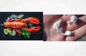 Canada: Lobster poacher arrested, caught with cocaine in Sept-Îles