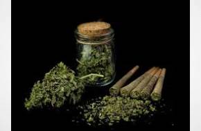 What Is a Pre-Roll? From Handcrafted Joints to Industrial Production