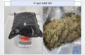 Yakuza member arrested for smuggling 636 kg of marijuana into South Korea