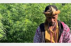 Cannabiz Africa - Article: African Policy-makers Largely Blind to the Transformative Potential of Hemp