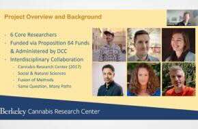 Trends in California's Cannabis Cultivation Since Legalization -  Berkeley Cannabis Research Center