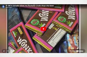 $1.3M in cannabis seized, two Rochester smoke shops shut down