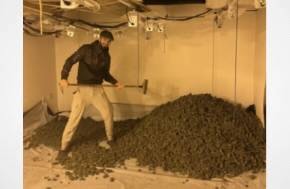 Man Grinning From Ear to Ear With Huge Weed Stash He's Just Harvested  Busted By  Manchester Police