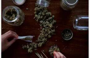 Lee Generous Highlights the Importance of Financial Compliance for Cannabis Businesses