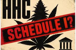 DEA Just Listed HHC in Schedule I. I Still Think the Statute Matters.