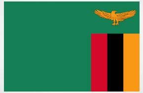 Zambia: Major Policy Shift - New Controlling Body Aims to Integrate Cannabis into Public Health System