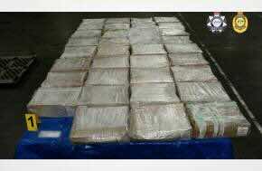 Cocaine hidden in fruit pulp found by Australian Federal Police at Melbourne Airport