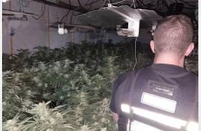 UK: Large cannabis 'factory' with 420 plants found at former Essex pub