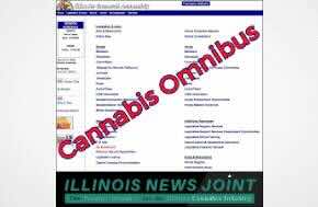 Article: 10 provisions in the latest Illinois cannabis omnibus bill